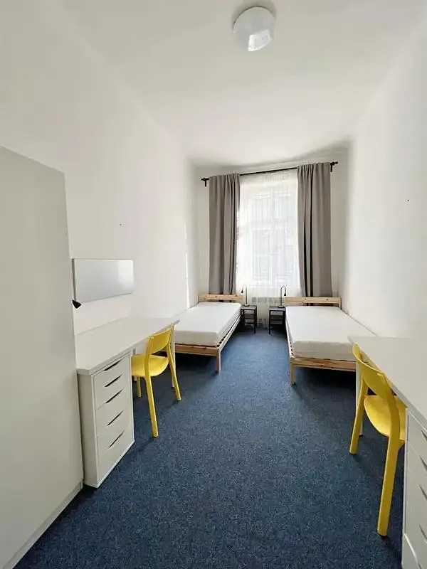 1+1, Václavská, Brno-město, Jihomoravský kraj