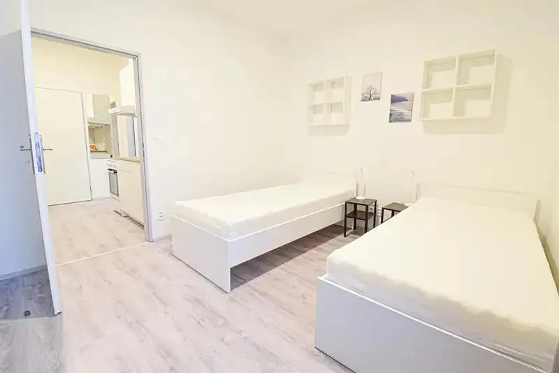 1+1, Václavská, Brno-město, Jihomoravský kraj
