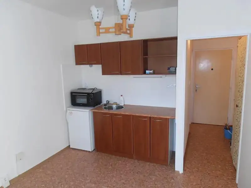 1+kk, Vrchlického, Litoměřice, Ústecký kraj