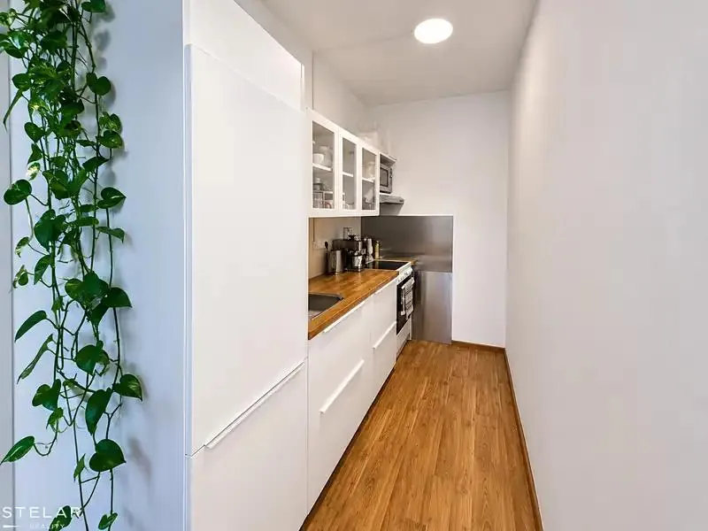 2+kk, Dunajská, Brno-město, Jihomoravský kraj