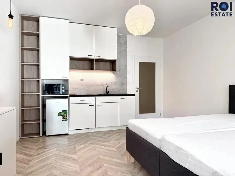 1+kk, Nový Cejl (Brno-město, Jihomoravský kraj)