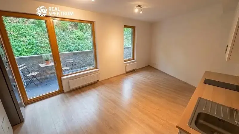 1+kk, Pastviny, Brno-město, Jihomoravský kraj