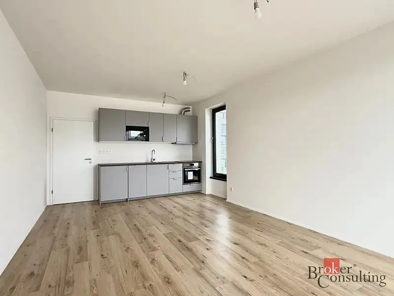 2+kk, Železná, Plzeň-město, Plzeňský kraj
