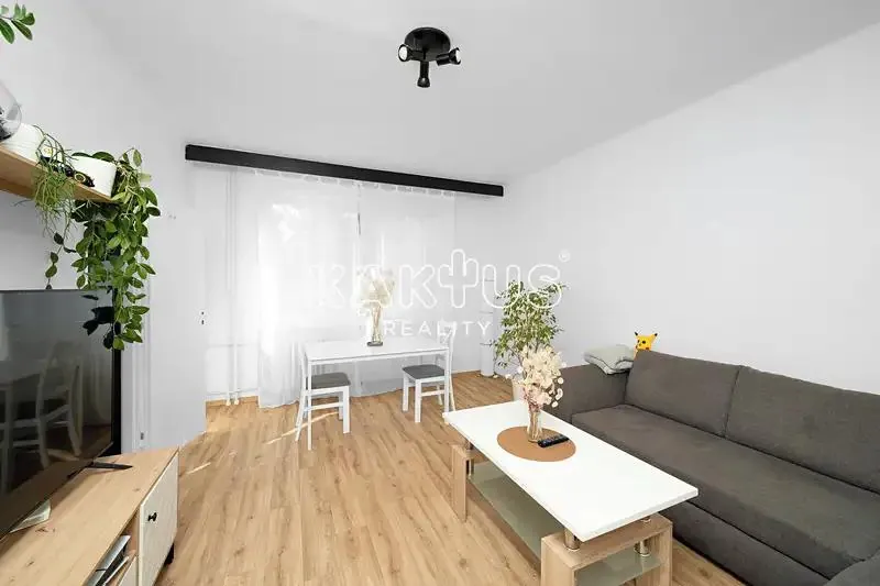 2+1, Hlavní třída, Ostrava-město, Moravskoslezský kraj