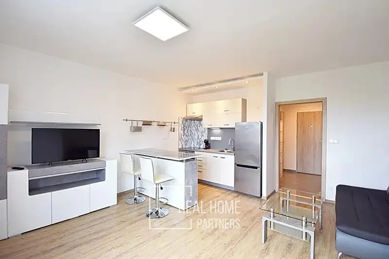 1+kk, Synkova, Brno-město, Jihomoravský kraj