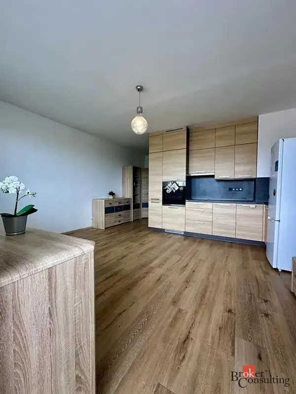 1+kk, Tachovská, Plzeň-město, Plzeňský kraj